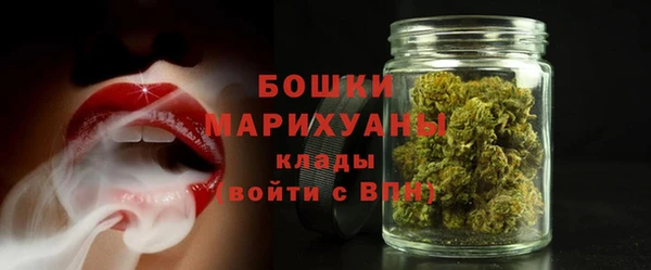 тгк Лагань