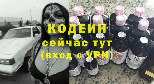 тгк Лагань