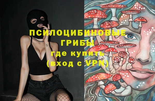 тгк Лагань