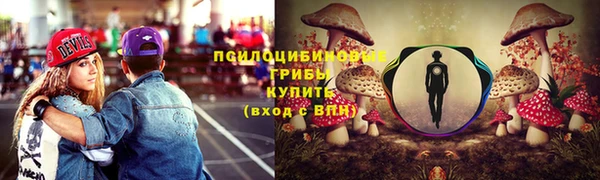 тгк Лагань