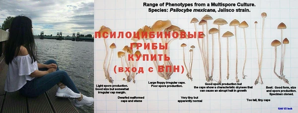 MDMA Premium VHQ Ладушкин