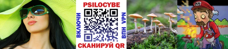 Псилоцибиновые грибы прущие грибы  Суджа 