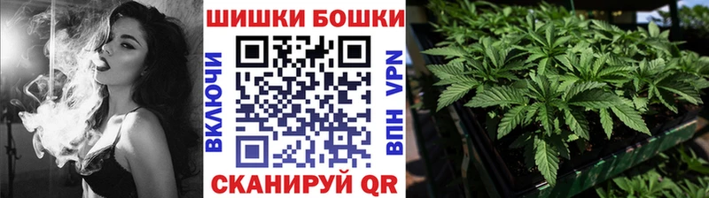 Шишки марихуана план Суджа